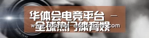 公司动态