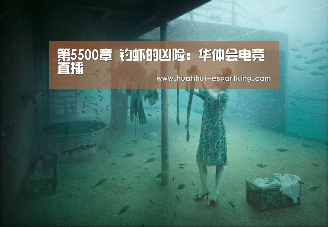 华体会电竞