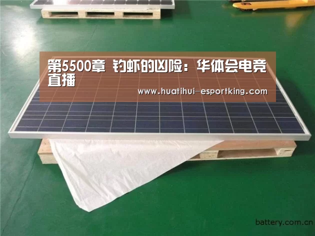 华体会电竞竞猜
