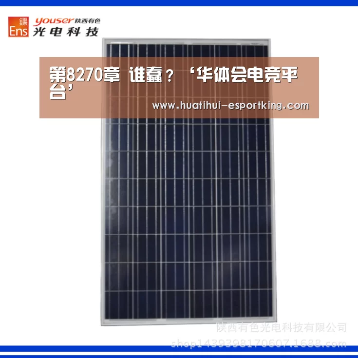 第8270章 谁蠢?‘华体会电竞平台’(图3) 华体会电竞直播